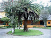 Hacienda ”San German“