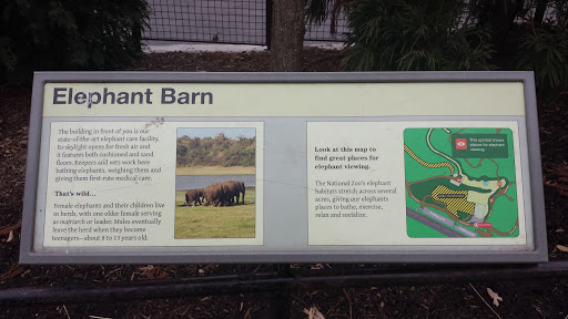 Elephant Barn