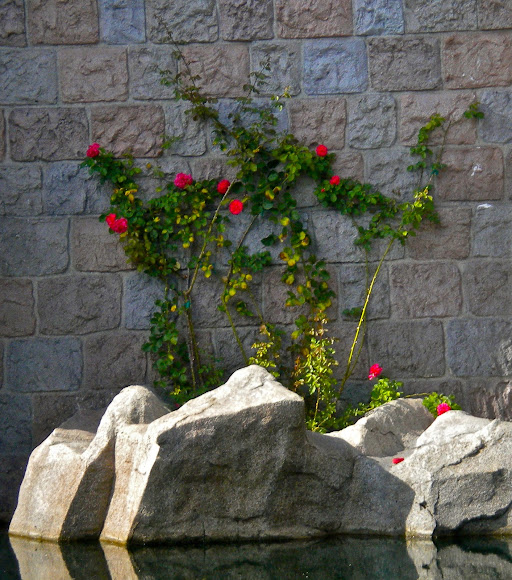 Spotting Image 1