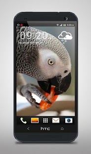 How to get Parrot like Mandarin LiveWP 1.0 mod apk for bluestacks