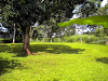 Se Vende 2 Lotes En Uvita De Orotina