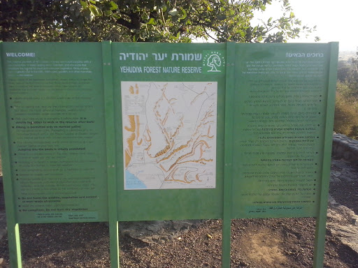 שמורת יער יהודיה