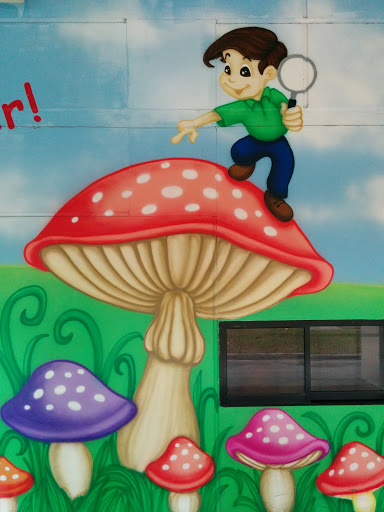 Boy And Mushroom Mural
