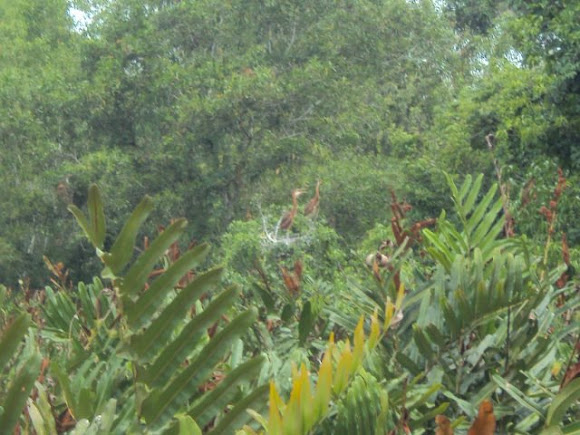 Spotting Image 1