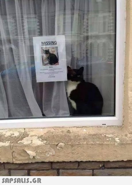 MISSING 
