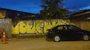 Grafitti Figueira