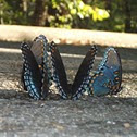 Red-spotted Purple