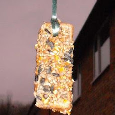 Treat the Birdies! Bird Feeder - Kids Can Make
