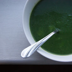 Nettle and Green Garlic Soup
