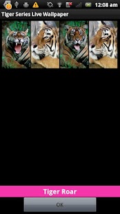 How to mod Tiger Series Live Wallpapers patch 1.7.1 apk for android