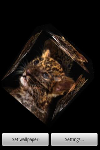 3D cute leopard