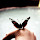 Creatures of Pennsylvania