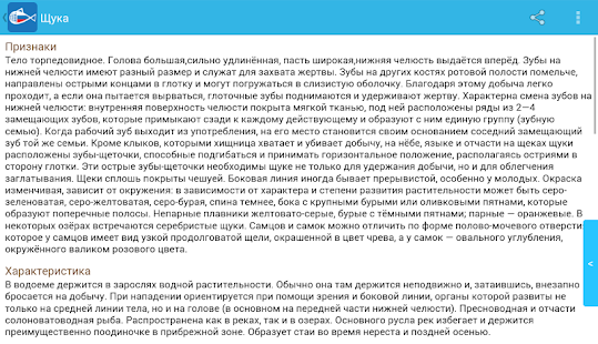 download Y