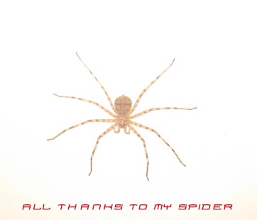 How to download SPIDER CLOCK UCCW 1.01 apk for android