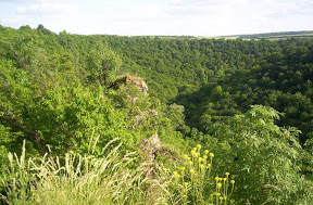 Creasta Cocosului