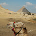 DSC_3597.JPG
