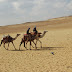 DSC_3602.JPG