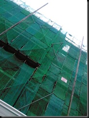Photo0054