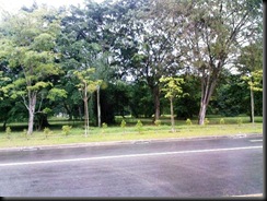 Photo0039