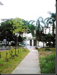 Photo0061