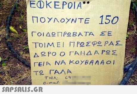EOKEPOIA ΠΟΥΛΟΥΝ TE 150 ΓΕΙΑ ΝΑ ΚΟΥΒΑ AAo 4 THA:9 e-mail 
