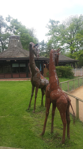 Giraffe Statues
