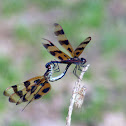 Halloween Pennant