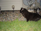 DSC01947.JPG