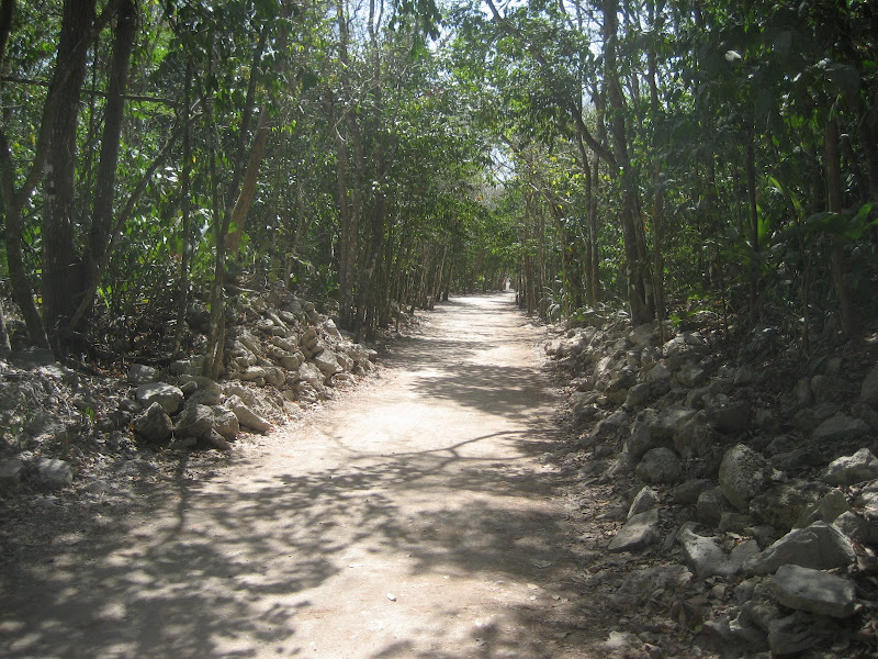 The road to the ruins - Coba