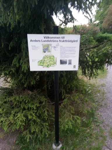 Anders Lundströms Fruktträdgård
