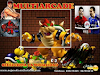 Profesional  Master  Multijuegos 2009