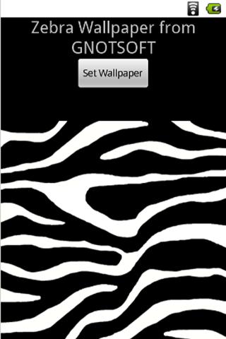 Zebra Wallpaper Background