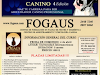 Fogaus Curso Adiestrador Y Terapeuta Del Compor