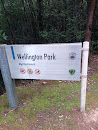 Wellington Park Myrtle Forest