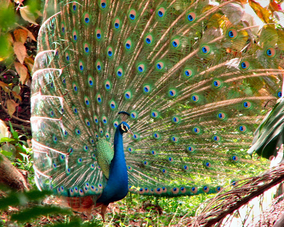 Spotting Image 1