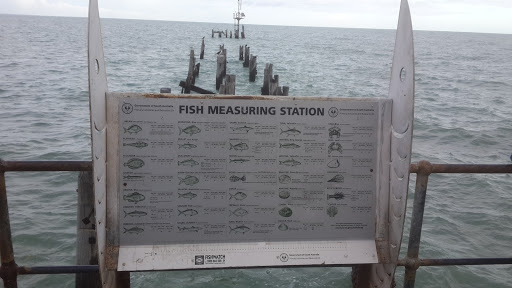Fish Measuring Station At End Of Port Germein Jetty