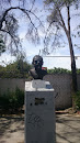 Busto Emiliano Zapata
