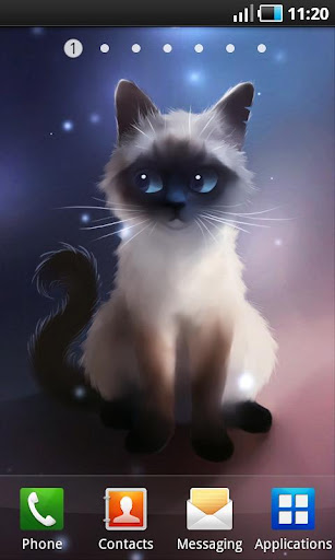 Siamese Cat