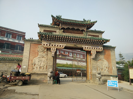 藏医院