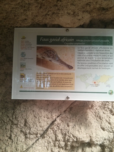 La Palmyre - Faux Gavial Africain