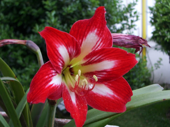 Spotting Image 1