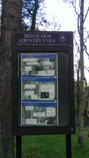 Beecraigs County Park Lochside
