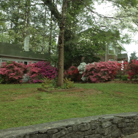 Spotting Image 1