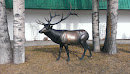 Elk Statue 
