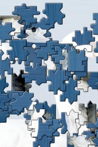 Firework Jigsaw Puzzle