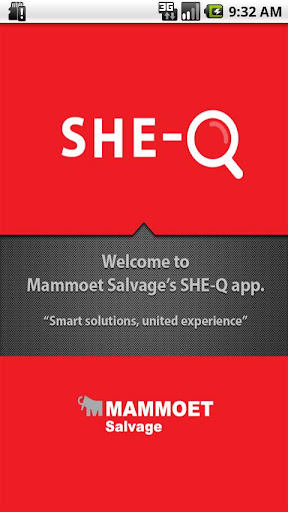 SHE-Q for Mammoet Salvage