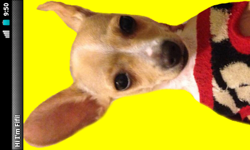 How to install Fifi - The Friendly Chihuahua! 1.0 apk for pc