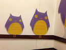Owls in the Mall