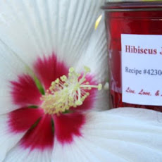 Hibiscus Jelly