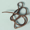 horsehair worms or Gordian worms